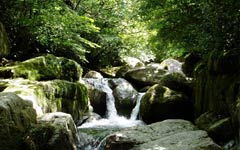 レンタカーでおススメ！永田横川渓谷